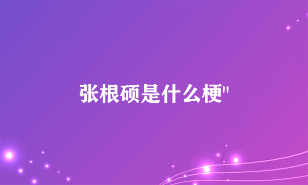 张根硕是什么梗