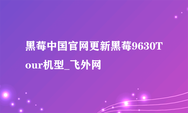 黑莓中国官网更新黑莓9630Tour机型_飞外网