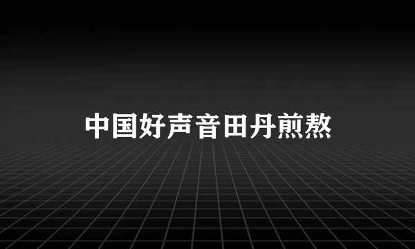 中国好声音田丹煎熬