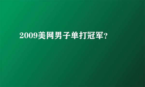 2009美网男子单打冠军？