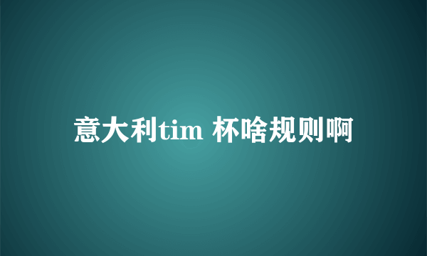 意大利tim 杯啥规则啊