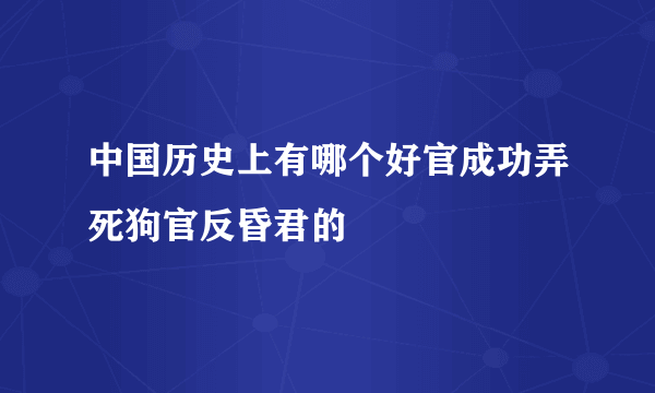 中国历史上有哪个好官成功弄死狗官反昏君的