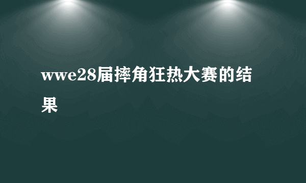 wwe28届摔角狂热大赛的结果