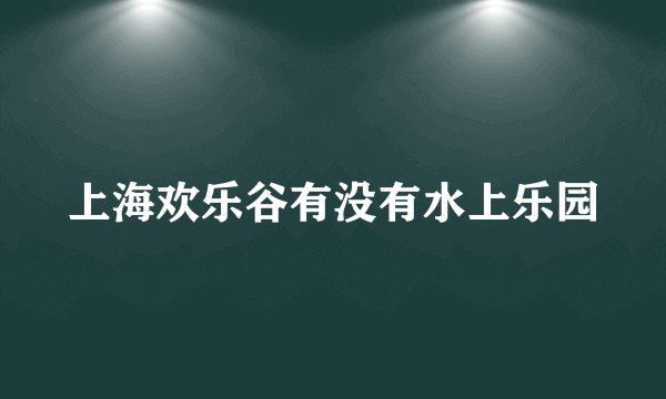 上海欢乐谷有没有水上乐园