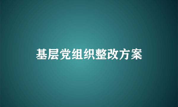 基层党组织整改方案