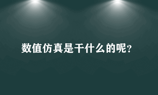 数值仿真是干什么的呢？