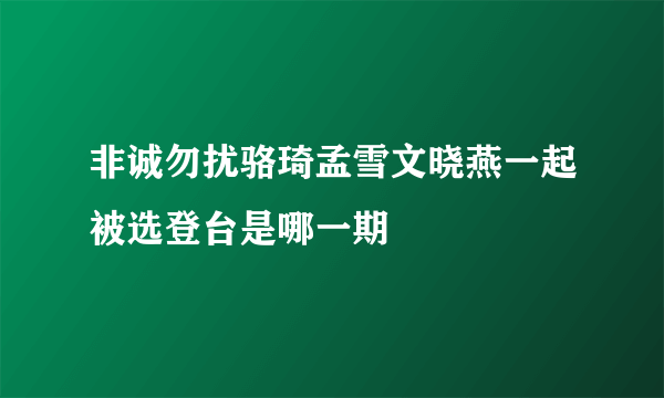 非诚勿扰骆琦孟雪文晓燕一起被选登台是哪一期