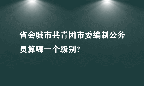 省会城市共青团市委编制公务员算哪一个级别?