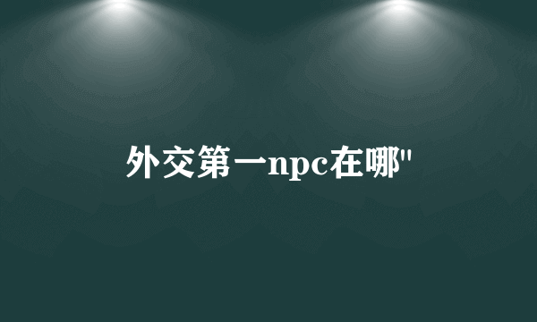 外交第一npc在哪