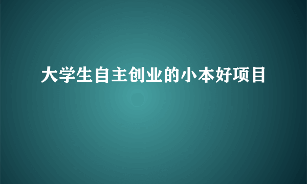 大学生自主创业的小本好项目