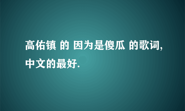 高佑镇 的 因为是傻瓜 的歌词,中文的最好.