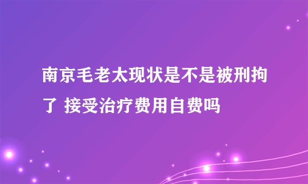 南京毛老太现状是不是被刑拘了 接受治疗费用自费吗