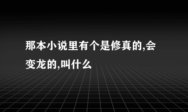 那本小说里有个是修真的,会变龙的,叫什么