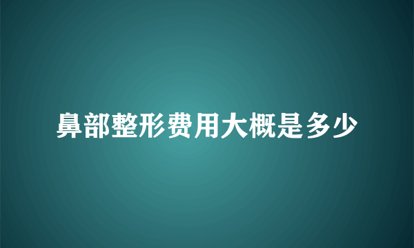 鼻部整形费用大概是多少