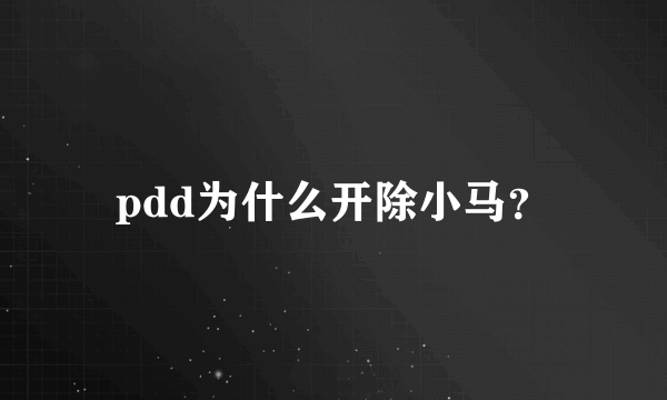 pdd为什么开除小马？