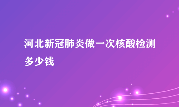 河北新冠肺炎做一次核酸检测多少钱