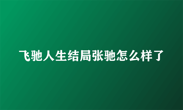 飞驰人生结局张驰怎么样了