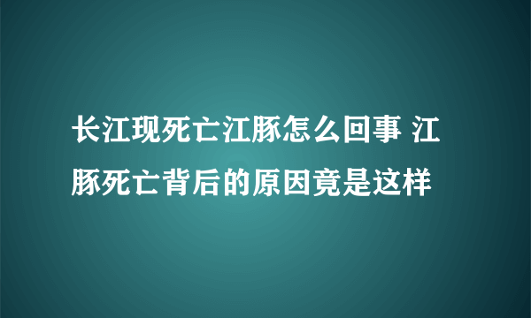 长江现死亡江豚怎么回事 江豚死亡背后的原因竟是这样