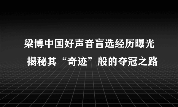 梁博中国好声音盲选经历曝光 揭秘其“奇迹”般的夺冠之路