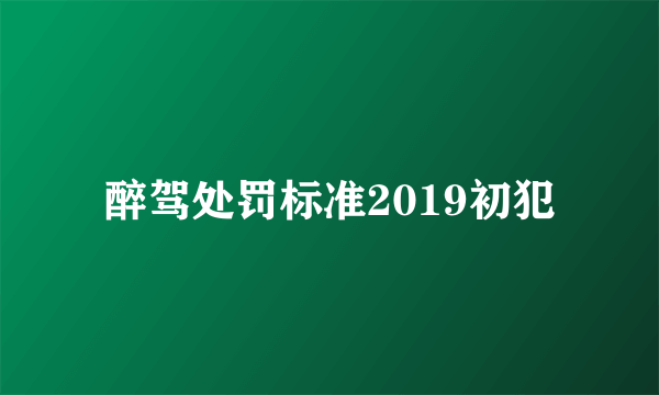 醉驾处罚标准2019初犯