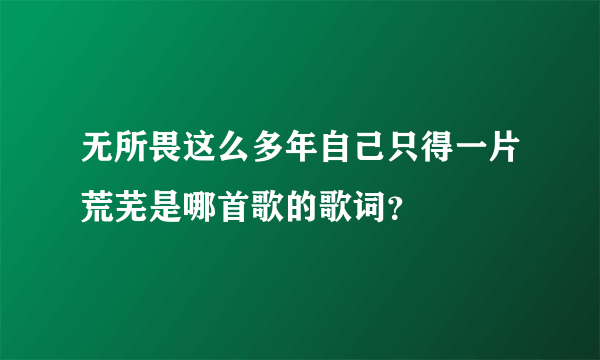 无所畏这么多年自己只得一片荒芜是哪首歌的歌词？