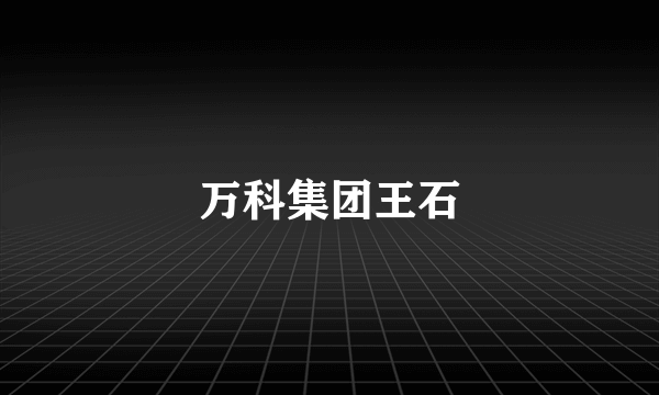 万科集团王石