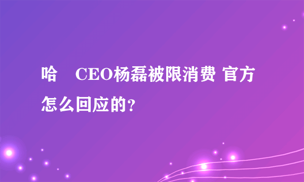 哈啰CEO杨磊被限消费 官方怎么回应的？