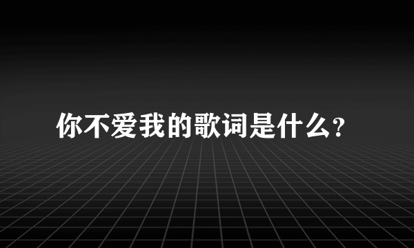 你不爱我的歌词是什么？