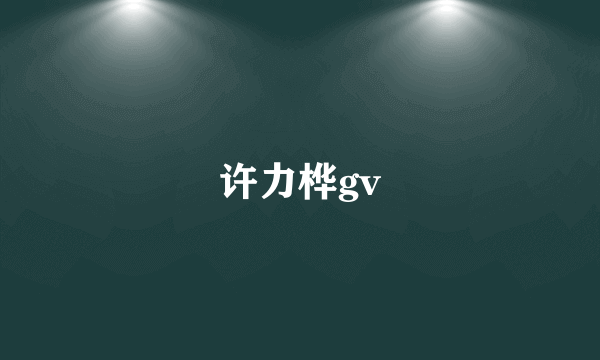 许力桦gv