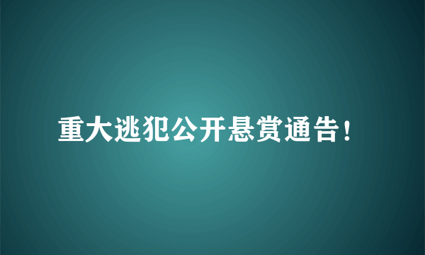 重大逃犯公开悬赏通告！