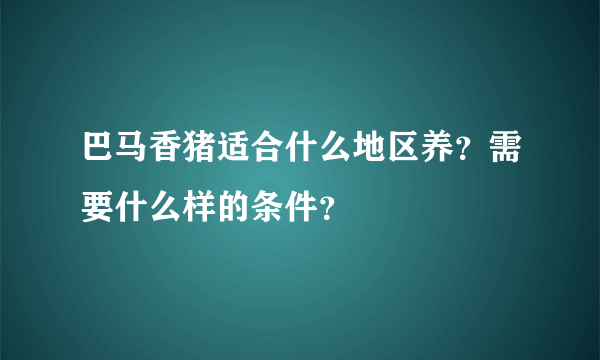 巴马香猪适合什么地区养？需要什么样的条件？