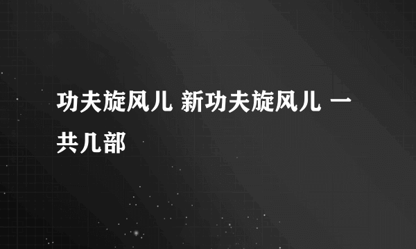 功夫旋风儿 新功夫旋风儿 一共几部