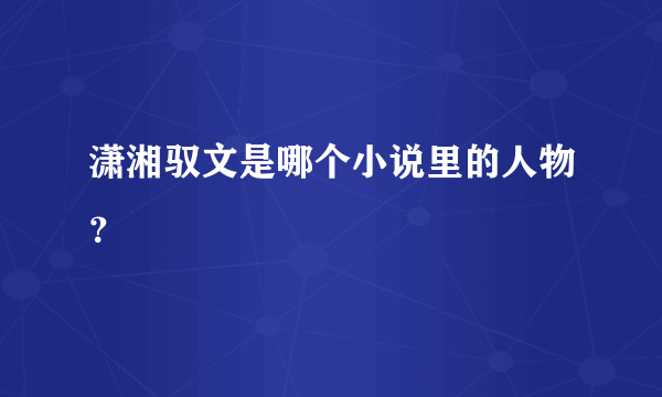 潇湘驭文是哪个小说里的人物？