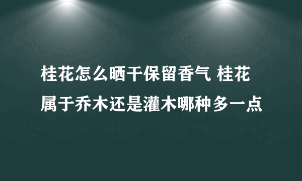 桂花怎么晒干保留香气 桂花属于乔木还是灌木哪种多一点