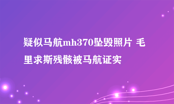 疑似马航mh370坠毁照片 毛里求斯残骸被马航证实