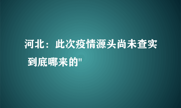 河北：此次疫情源头尚未查实 到底哪来的