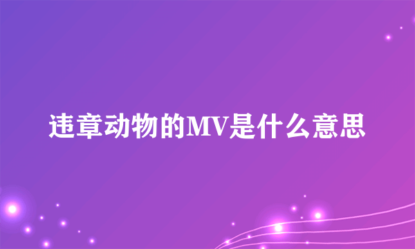 违章动物的MV是什么意思