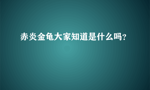 赤炎金龟大家知道是什么吗？