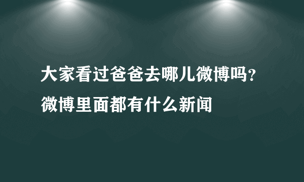 大家看过爸爸去哪儿微博吗？微博里面都有什么新闻