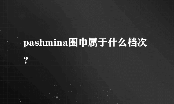 pashmina围巾属于什么档次？