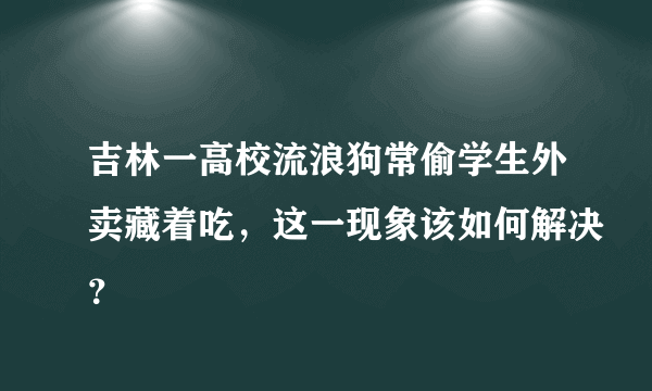 吉林一高校流浪狗常偷学生外卖藏着吃，这一现象该如何解决？