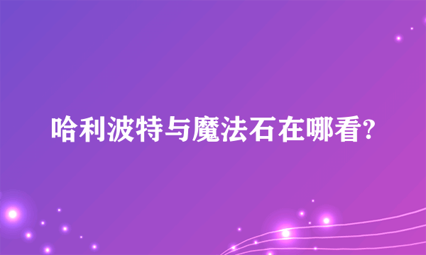 哈利波特与魔法石在哪看?