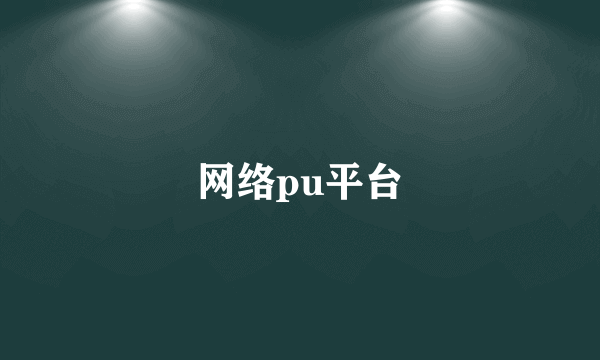 网络pu平台