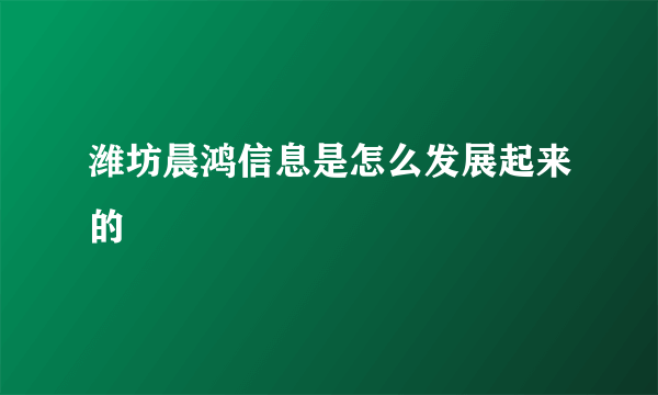 潍坊晨鸿信息是怎么发展起来的