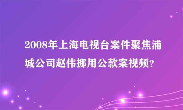 2008年上海电视台案件聚焦浦城公司赵伟挪用公款案视频？