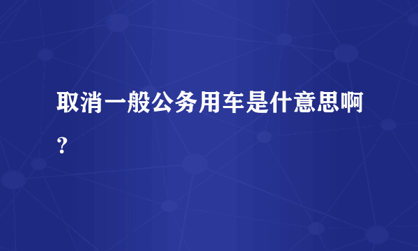 取消一般公务用车是什意思啊？