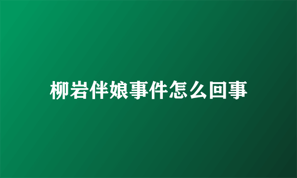 柳岩伴娘事件怎么回事