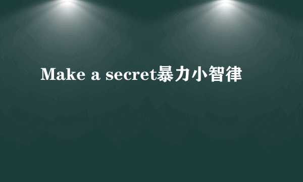 Make a secret暴力小智律