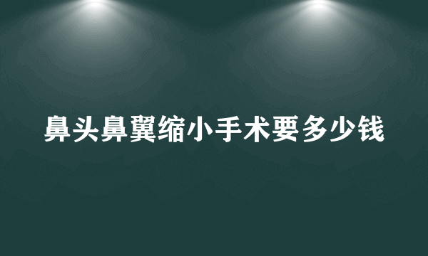 鼻头鼻翼缩小手术要多少钱