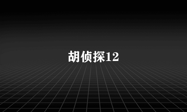 胡侦探12